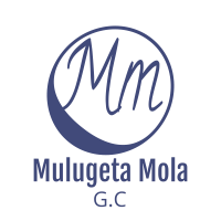 Mulugeta Mola General Construction